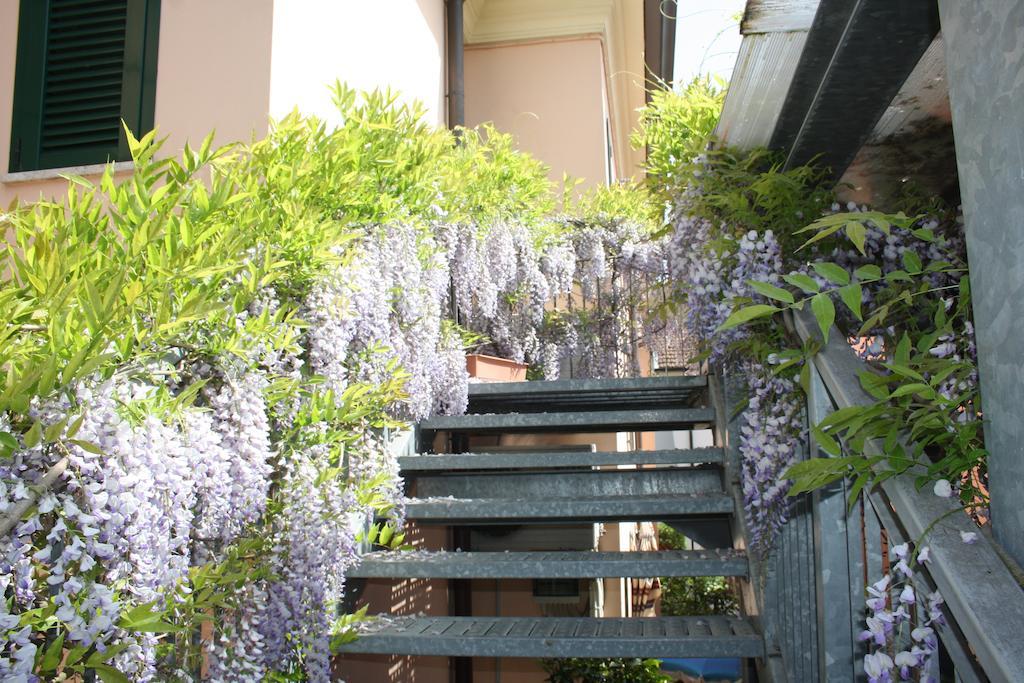 Hotel Villa Grazia Cesenatico Extérieur photo